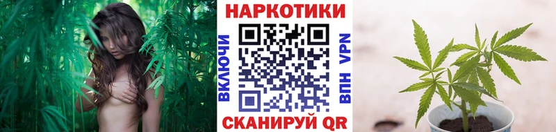 Все наркотики Емва Гашиш  COCAIN  Меф  Альфа ПВП  Бошки Шишки 