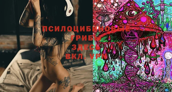 спайс Абинск