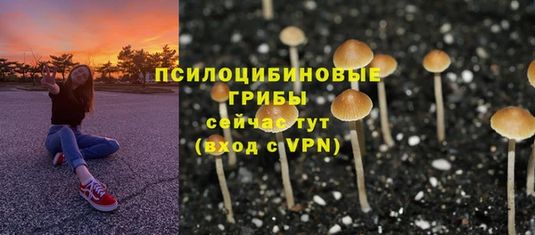 дурь Абаза