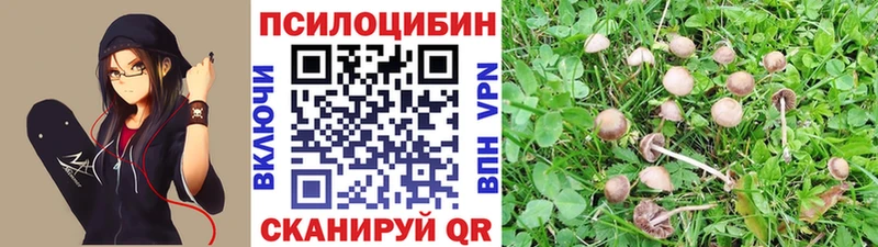 продажа наркотиков  ссылка на мегу ссылки  Псилоцибиновые грибы Magic Shrooms  Емва 